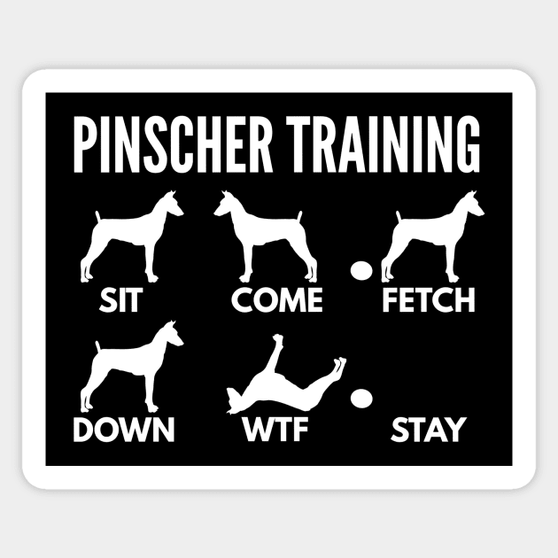 Pinscher Training German Pinscher Tricks Sticker by DoggyStyles